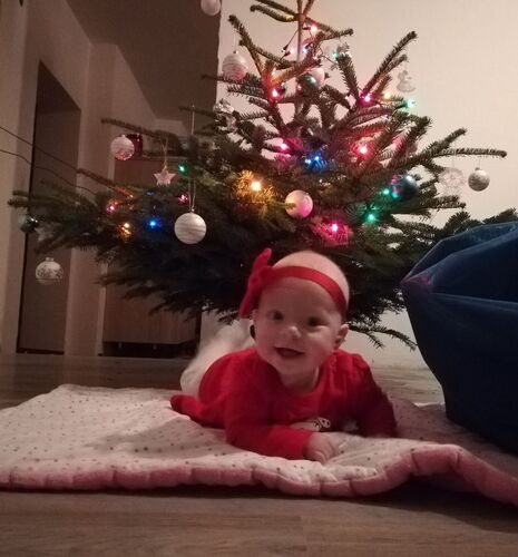 Das süßeste Babyfoto - Sophia Jolie aus Rohrbach