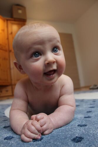 Das süßeste Babyfoto - Erik aus Linz-Land