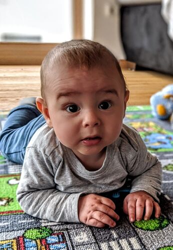 Das süßeste Babyfoto - Jannik aus Zwettl