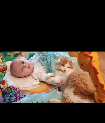 Das süßeste Babyfoto - Julian aus Kirchdorf