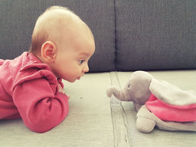 Das süßeste Babyfoto - Elina aus Scheibbs