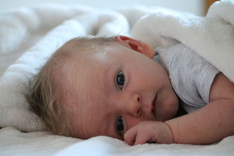 Das süßeste Babyfoto - Nico Levi aus Zwettl