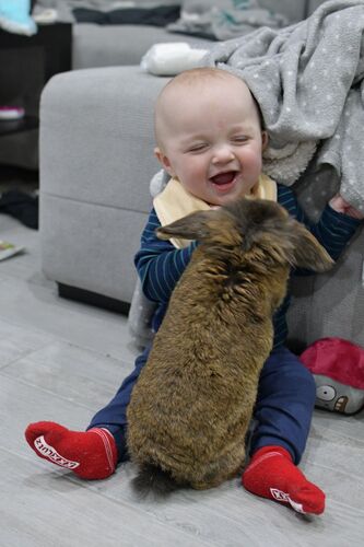 Das süßeste Babyfoto - Tim aus Rohrbach