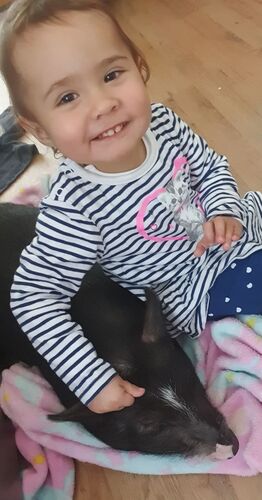 Das süßeste Babyfoto - Dorèen  aus Braunau