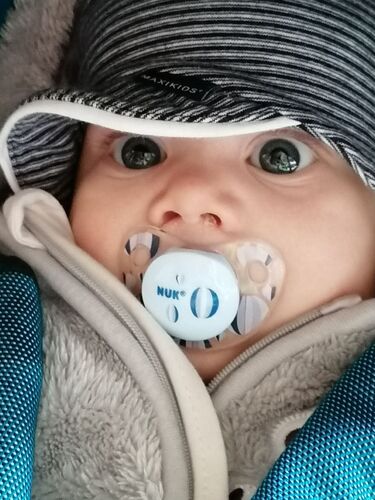 Das süßeste Babyfoto - Yoshi aus Gmunden