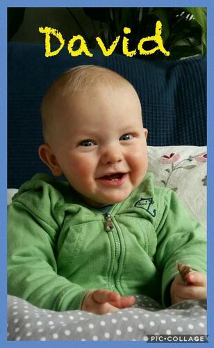 Das süßeste Babyfoto - David  aus Urfahr-Umgebung