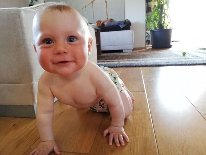 Das süßeste Babyfoto - Simon aus Freistadt