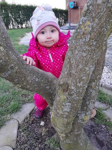 Das süßeste Babyfoto - Sophie aus Scheibbs