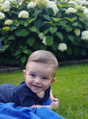 Das süßeste Babyfoto - Liam  aus Grieskirchen
