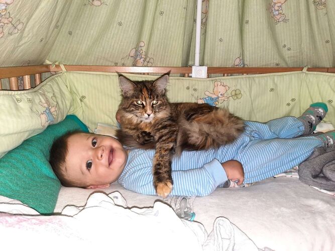 Das süßeste Babyfoto - Julian aus Freistadt