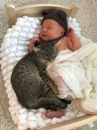 Das süßeste Babyfoto - Nico aus Kirchdorf