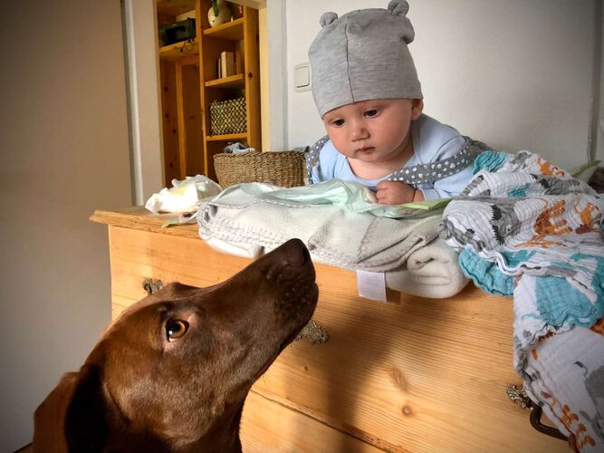 Das süßeste Babyfoto - Louis aus Gmunden