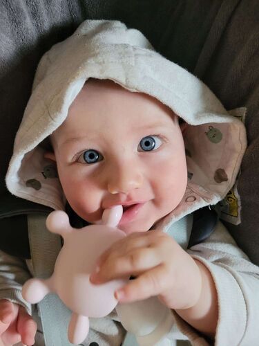 Das süßeste Babyfoto - Felix aus Vöcklabruck