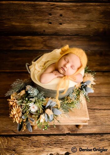 Das süßeste Babyfoto - Frieda aus Vöcklabruck