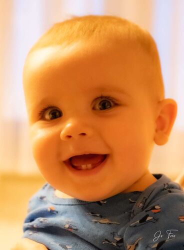Das süßeste Babyfoto - Felix Alexander  aus Linz-Land