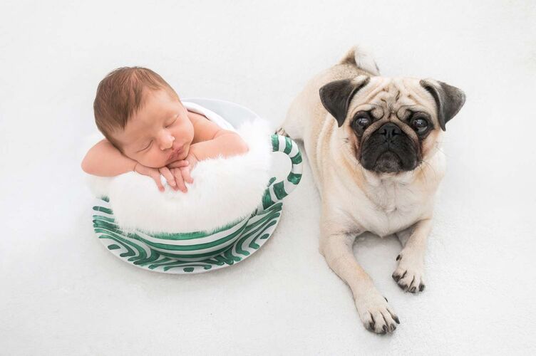 Das süßeste Babyfoto - Tobias aus Gmunden