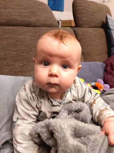 Das süßeste Babyfoto - Fridolin aus Urfahr-Umgebung