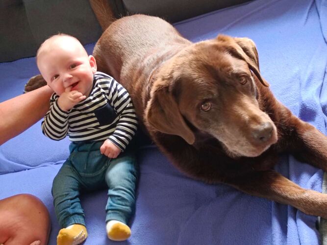 Das süßeste Babyfoto - Nick Raffael aus Rohrbach