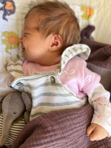 Das süßeste Babyfoto - Sophia aus Linz-Land