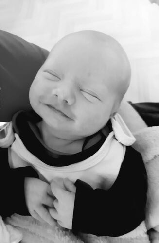 Das süßeste Babyfoto - Michael aus Perg