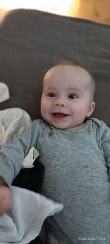 Das süßeste Babyfoto -  Dominik aus Freistadt