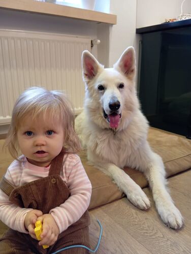 Das süßeste Babyfoto -  Marie aus Wels