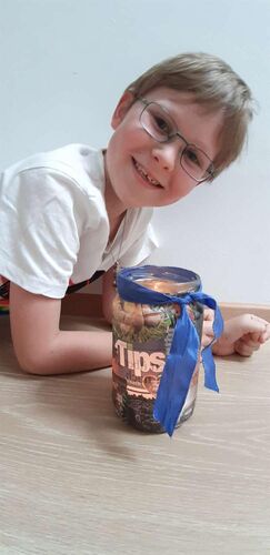 Bastel-Jubiläumsaktion -  Soren aus aus Rohrbach