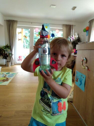 Bastel-Jubiläumsaktion -  Niklas aus aus Grieskirchen