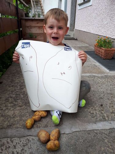 Bastel-Jubiläumsaktion -  Felix aus aus Urfahr-Umgebung