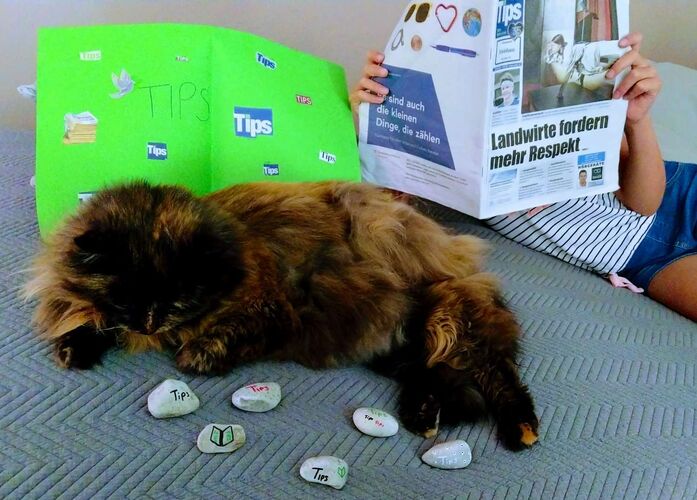 Bastel-Jubiläumsaktion - Maxima aus aus Wels