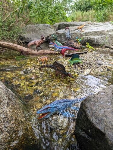 Mein Dino-Wasserpark - Paul aus Braunau