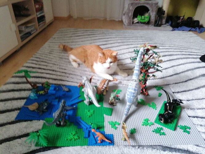 Mein Dino-Wasserpark - Daniel aus Rohrbach