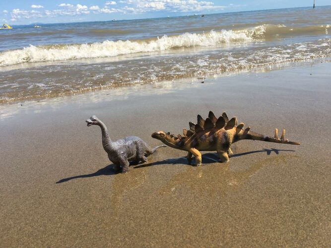 Mein Dino-Wasserpark - Christoph aus Ried