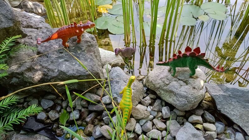 Mein Dino-Wasserpark - Marlene  aus Gmunden