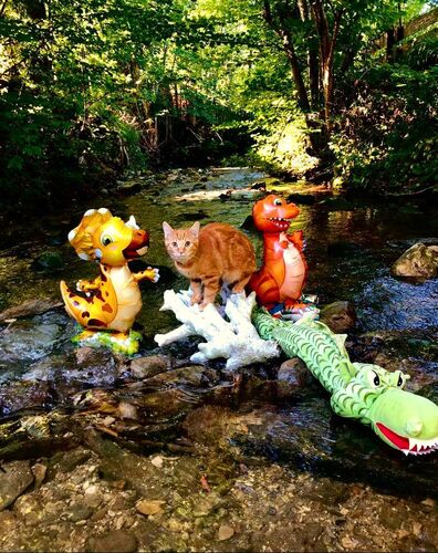 Mein Dino-Wasserpark - Maria aus Gmunden