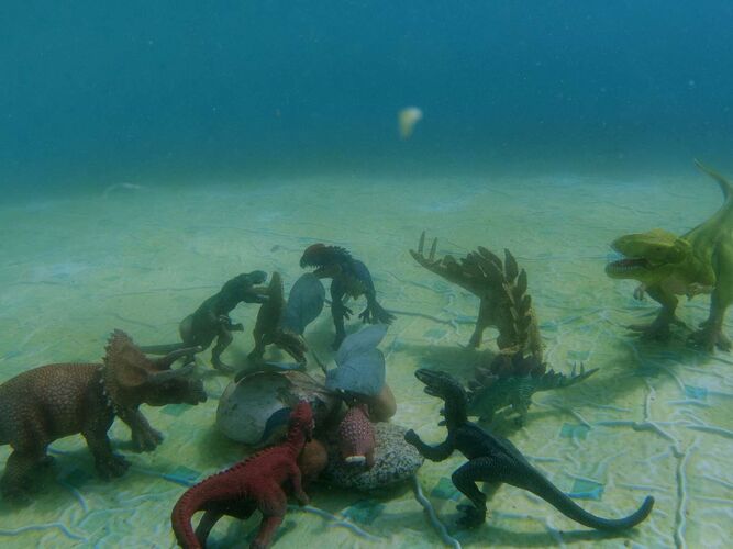 Mein Dino-Wasserpark - Laurenz aus Grieskirchen