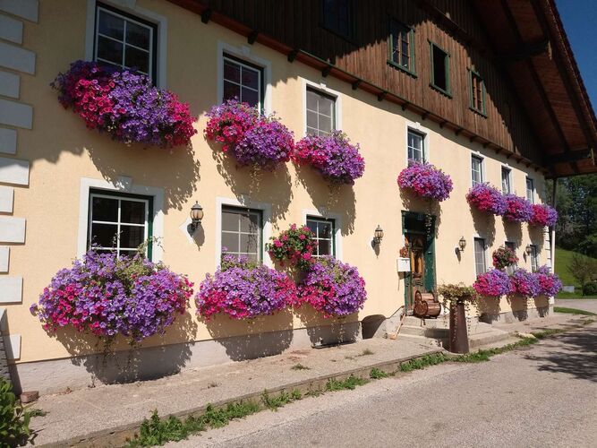 Das schönste Eigenheim 2021 - Martin aus Vöcklabruck