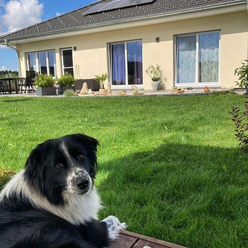 Das schönste Eigenheim 2022 - Sabine  aus Braunau