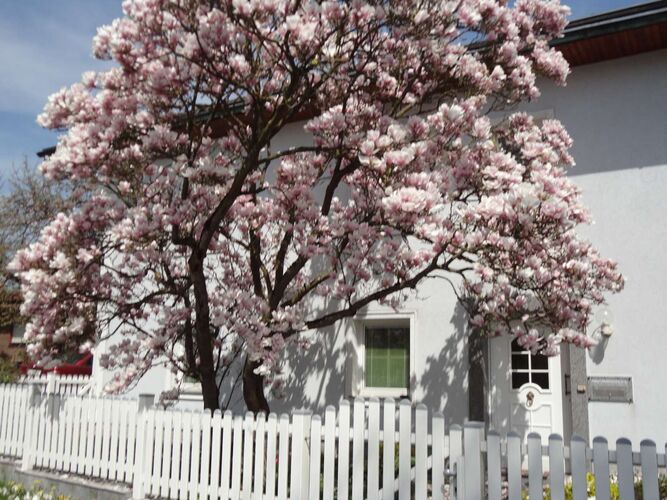 Das schönste Eigenheim 2022 - Günter aus Linz-Land