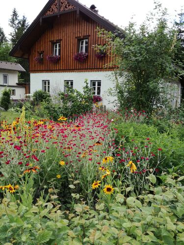 Das schönste Eigenheim 2023 - Sonja aus Gmunden