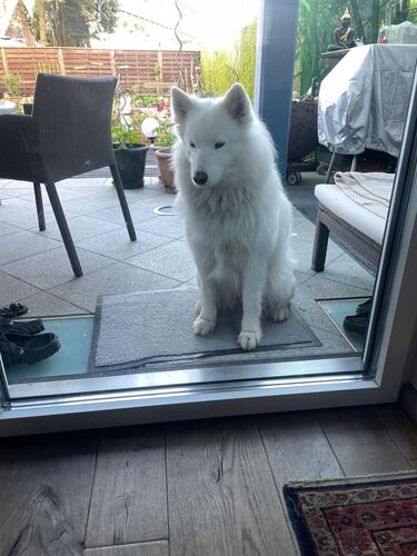 Das schönste Eigenheim 2025 - Raimund aus Urfahr-Umgebung