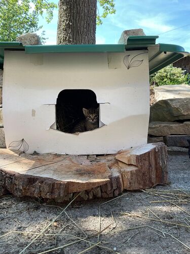 Das schönste Eigenheim 2025 - Rebecca aus Kirchdorf