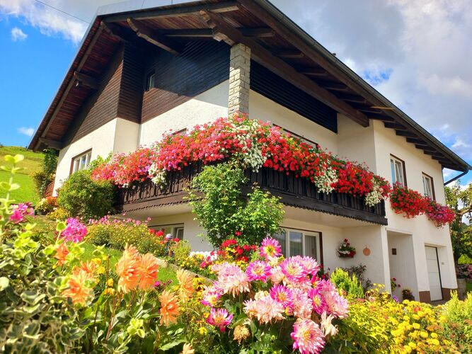 Das schönste Eigenheim 2025 - Sabine aus Rohrbach