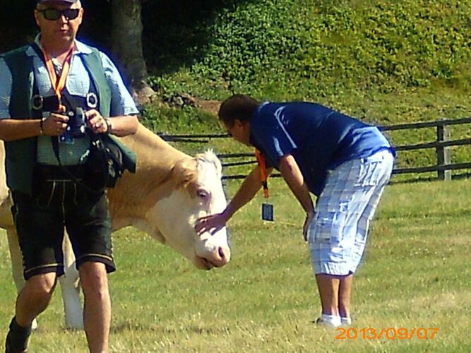 Fritz - Party-Gewinnspiel - Albin aus Linz