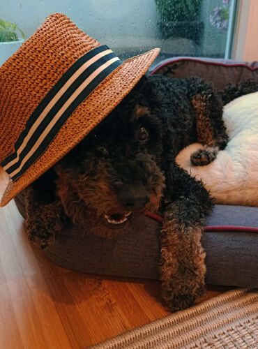 Fritz - Party-Gewinnspiel - Denise aus Linz