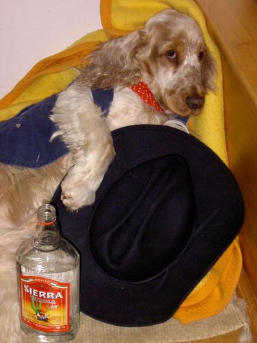 Fritz - Party-Gewinnspiel - Erwin aus Linz