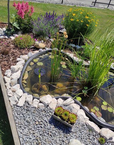 Schönster Garten 2021 - Sandra aus Braunau