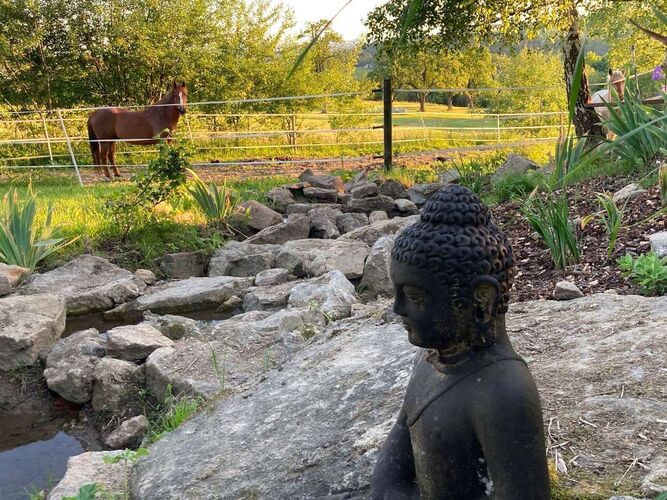 Schönster Garten 2021 - Katharina aus Schärding