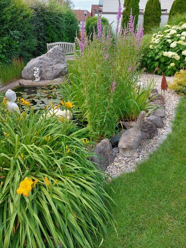 Schönster Garten 2021 - Sylvia aus Linz-Land