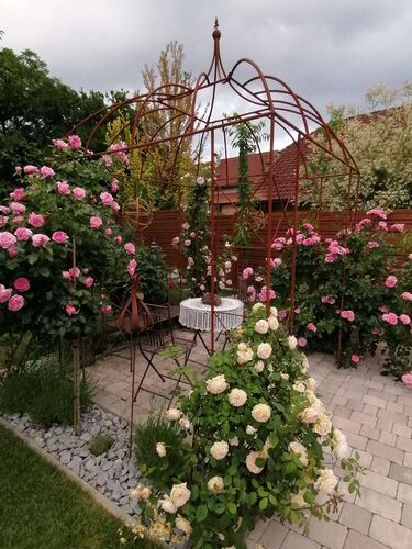 Schönster Garten 2021 - Sabine aus Freistadt